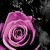 4f895ca818fd4f78a91a696ec9a0f69a