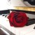 da8bd91abed3a907d753d83e495c1e2d