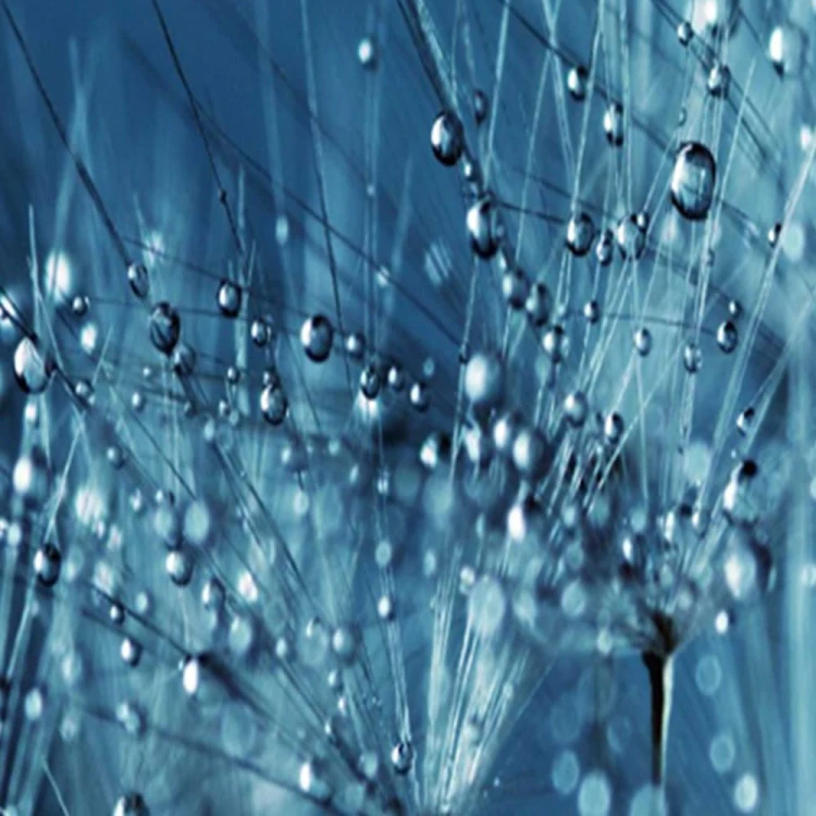 12ce3526b69a628ad3d62e5d6025ab62
