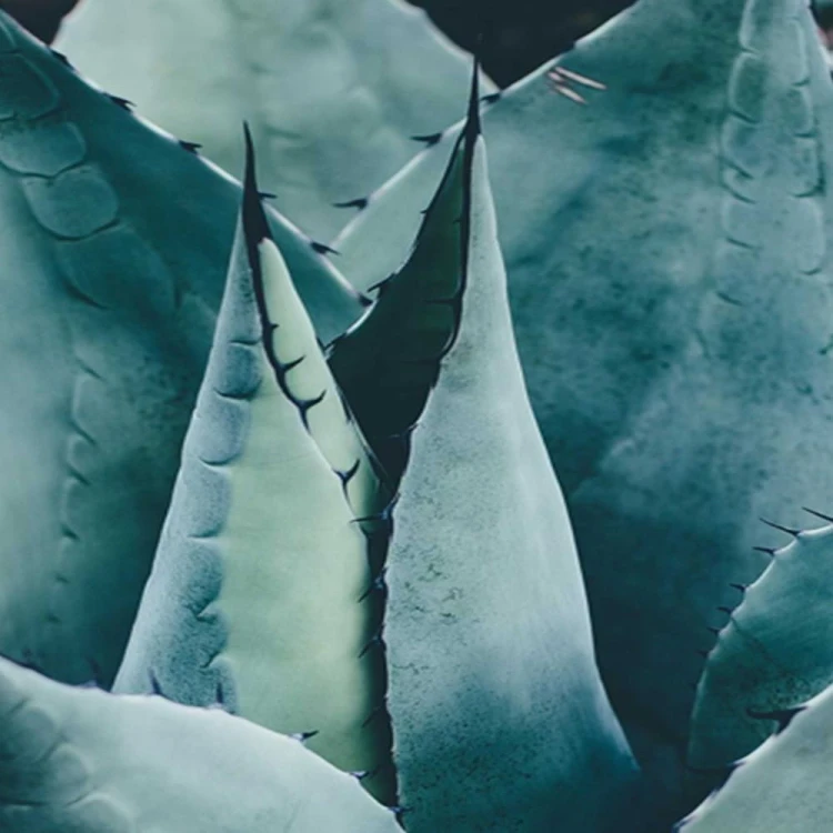 5bd2a430010351b4a256692dac792a53