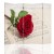 71ccfb4be84a0934d4289b5ebe86911e