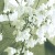 cd290c664258447f298ce7c709a05457