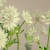 bc263f7ab1eb3edd18b5f8ecb7ce0b90