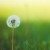 7709238bf26997e5955ff3abc530da4d