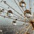 feae56ebe85425c4a387ca1b86017eeb