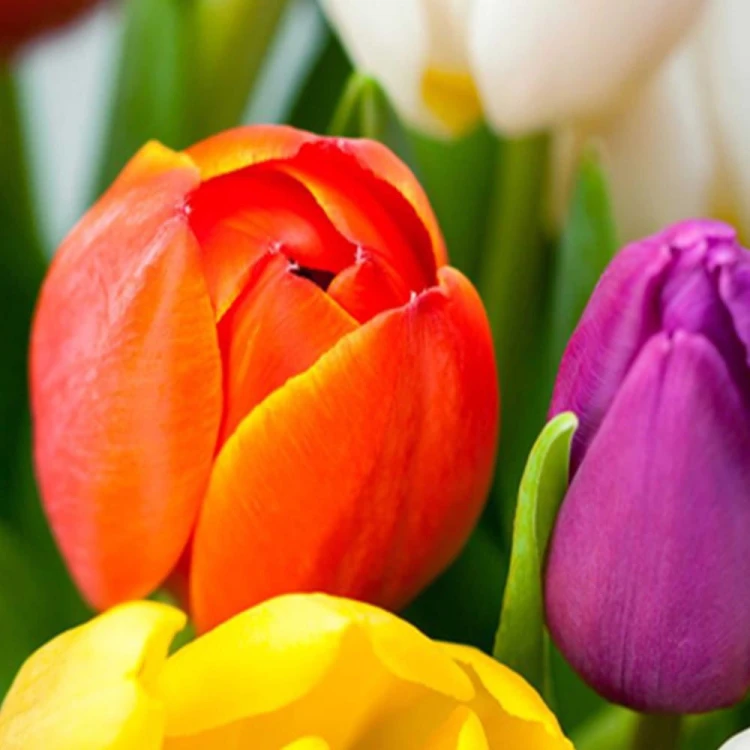 6e7f77f4ba494102f899b07f5a70dfb6
